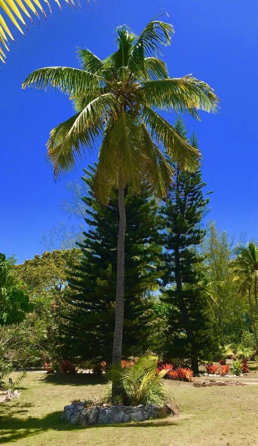 Poponi House Home North Palmetto Point Εξωτερικό φωτογραφία