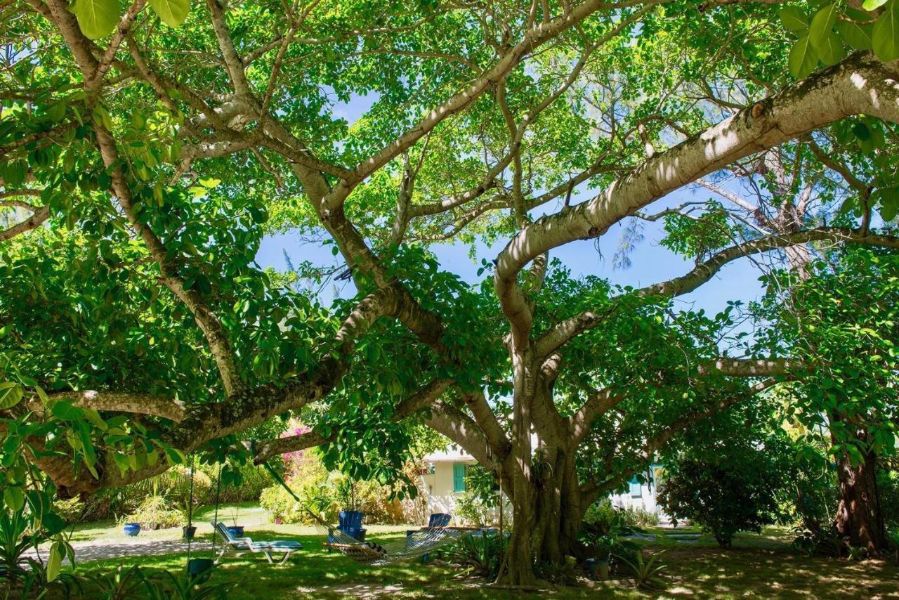 Poponi House Home North Palmetto Point Εξωτερικό φωτογραφία